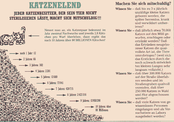 Katzenelend