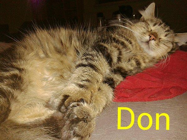 Don