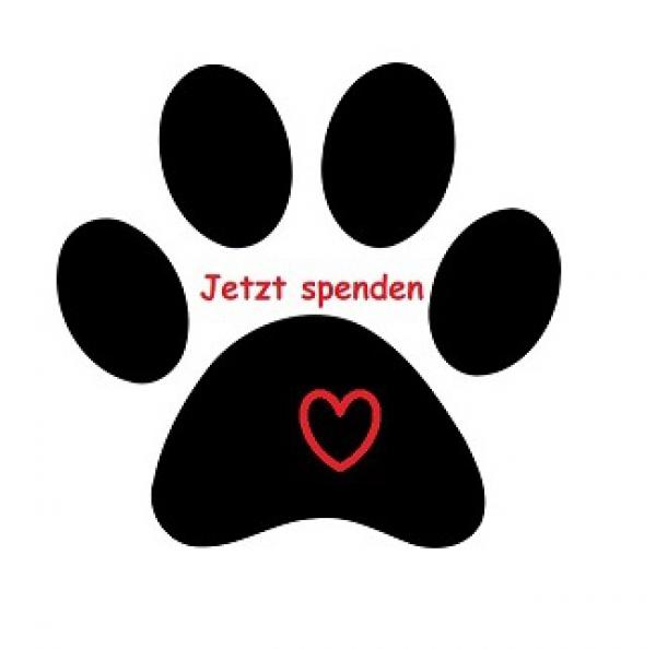 Jetzt spenden und Gutes tun