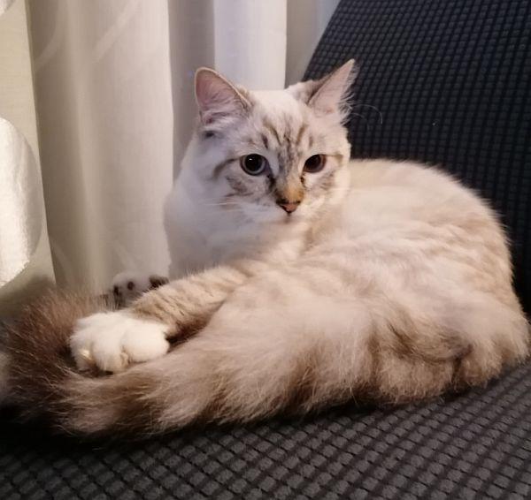 Luna aus KG