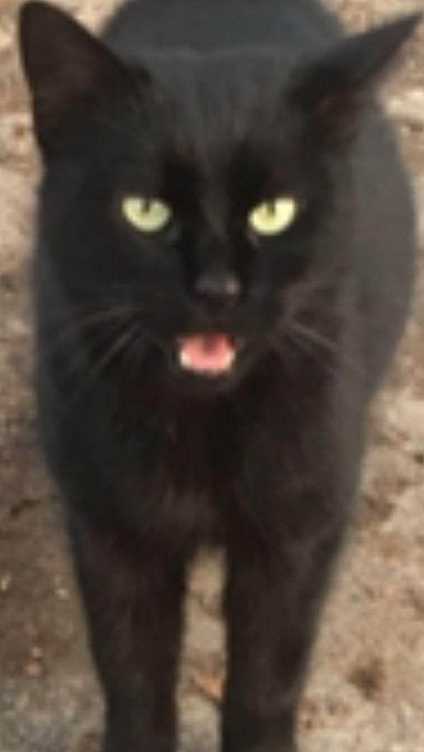 hpt