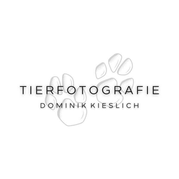 Tierfotografie Dominik Kieslich