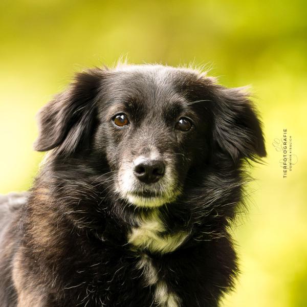 Roxy