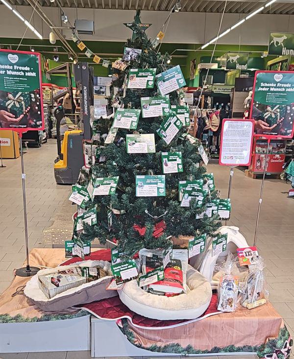 Frenapf Weihnachtswnsche werden wahr