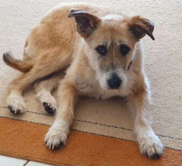 Suna Vermittlungshilfe